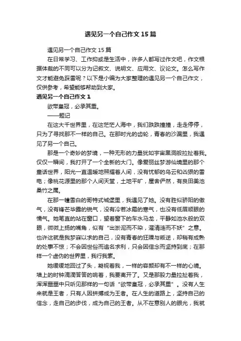 遇见另一个自己作文15篇