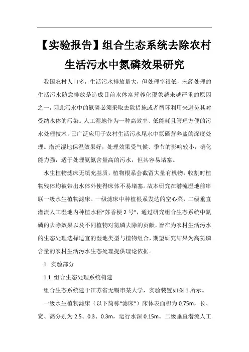 【实验报告】组合生态系统去除农村生活污水中氮磷效果研究