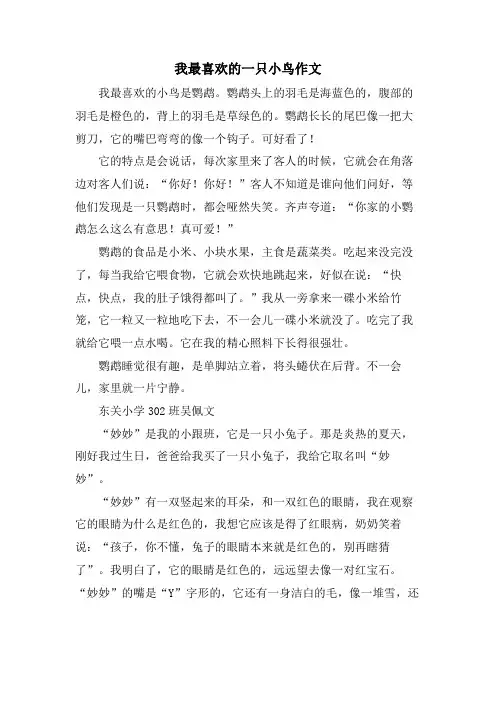 我最喜欢的一只小鸟作文