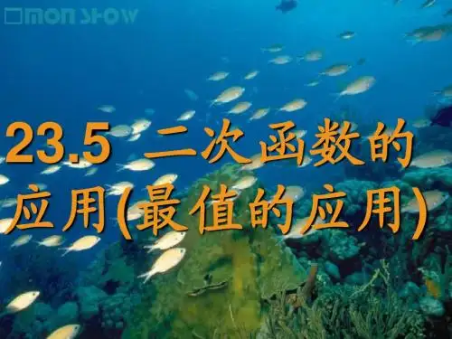 22.5二次函数应用(2)(最值)