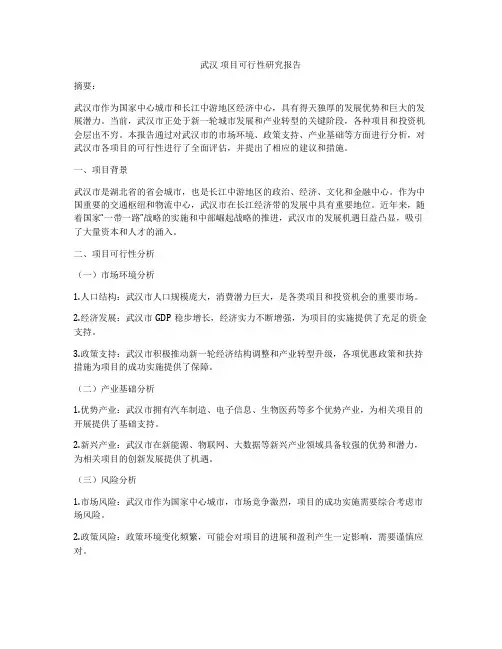 武汉 项目可行性研究报告