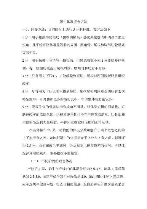 奶牛体况评价