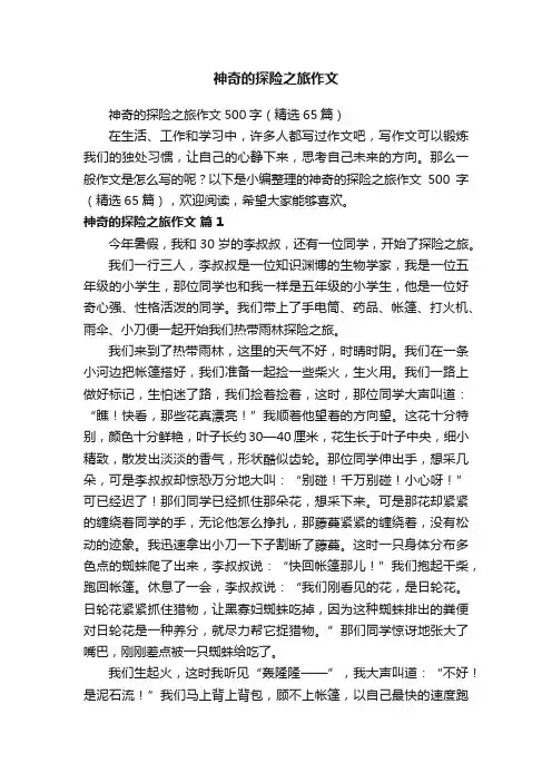 神奇的探险之旅作文500字（精选65篇）