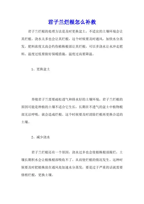 君子兰烂根怎么补救
