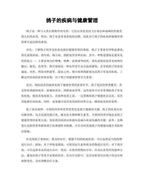 鸽子的疾病与健康管理