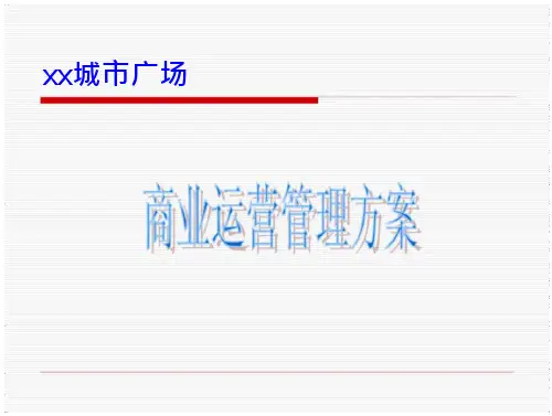 商业运营管理公司运营方案