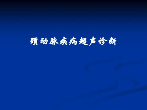 颈动脉疾病的超声诊断