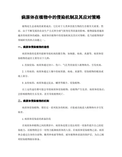 病原体在植物中的侵染机制及其应对策略