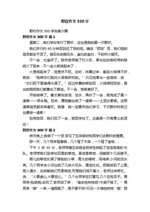 野炊作文300字合集六篇
