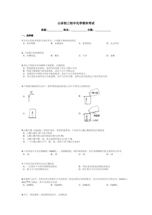 山东初三初中化学期末考试带答案解析
