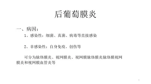 脉络膜血管瘤ppt课件