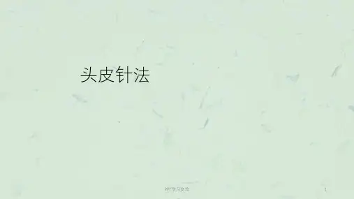 头皮针课件