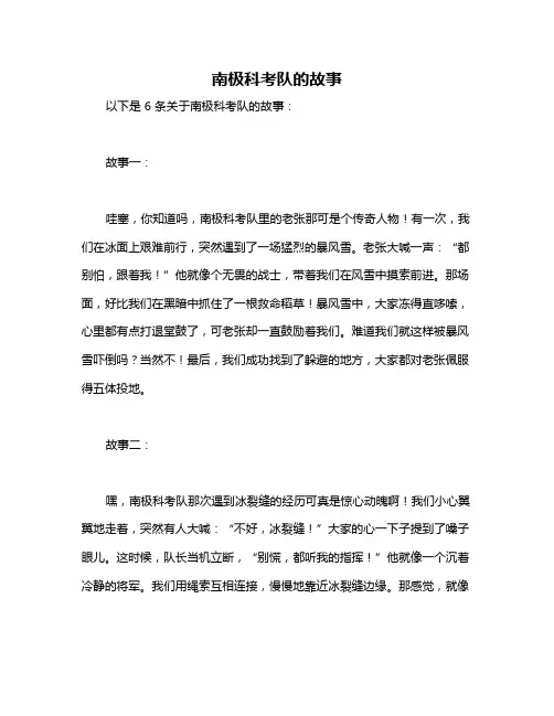 南极科考队的故事