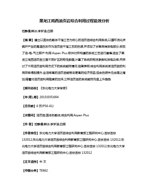 黑龙江鸡西油页岩综合利用过程能效分析