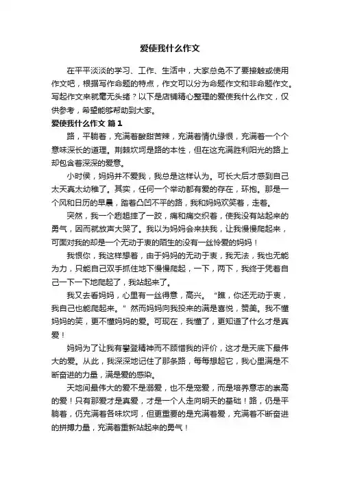 爱使我什么作文