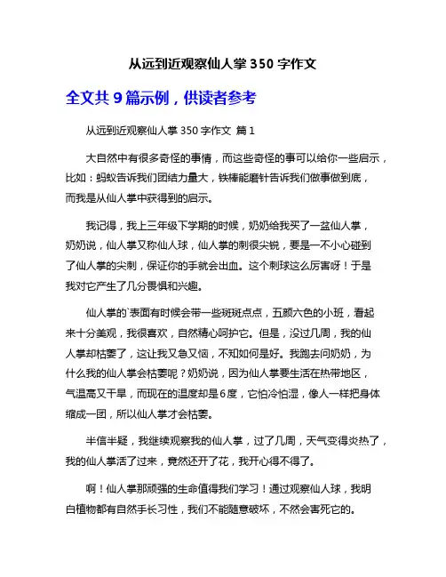 从远到近观察仙人掌350字作文