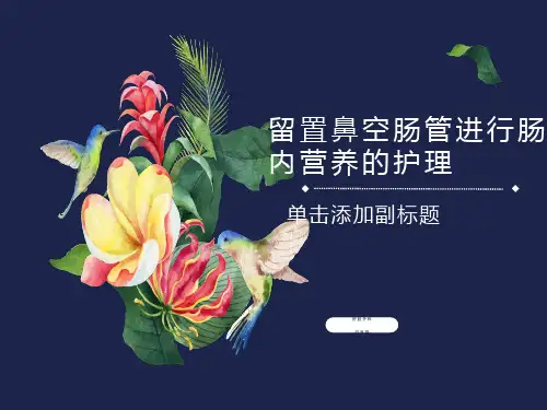 鼻空肠管营养的护理ppt课件