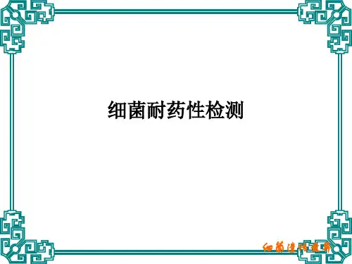 细菌耐药性检测PPT课件