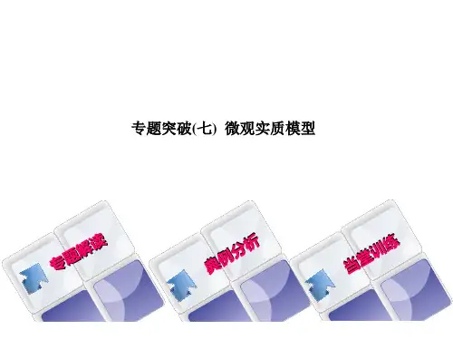 2018年中考化学专题突破(七) 微观实质模型