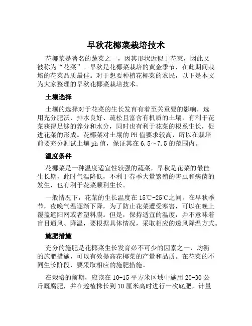 早秋花椰菜栽培技术