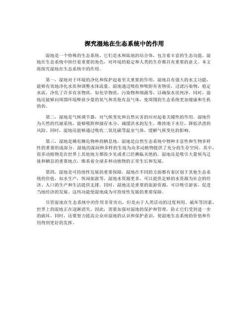 探究湿地在生态系统中的作用