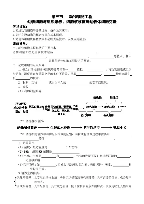 动物细胞工程(1)