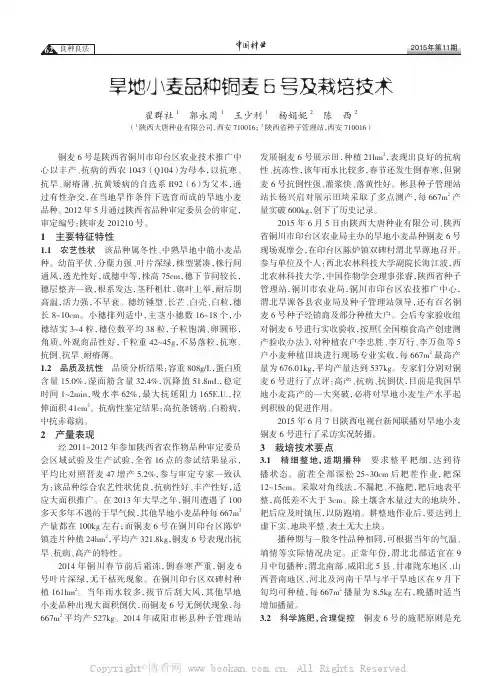 旱地小麦品种铜麦6号及栽培技术