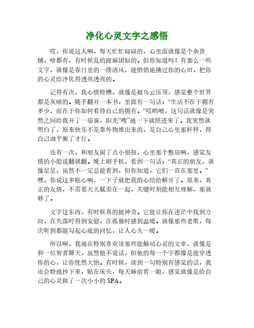 净化心灵的文字读后感
