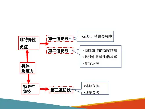 非特异性免疫—正常体液中的抗微生物物质(动物微生物课件)