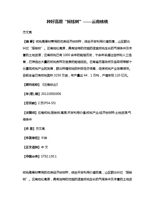 种好高原“摇钱树”——云南核桃