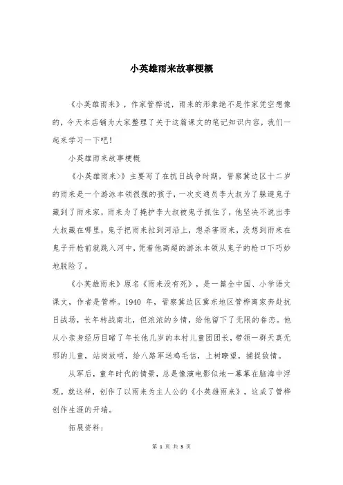 小英雄雨来故事梗概