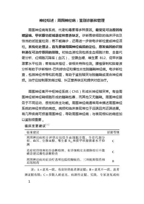神经综述：周围神经病：鉴别诊断和管理
