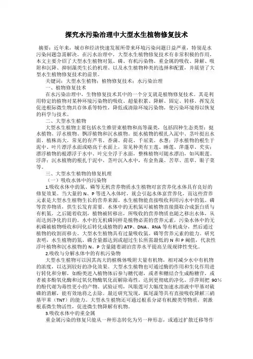 探究水污染治理中大型水生植物修复技术