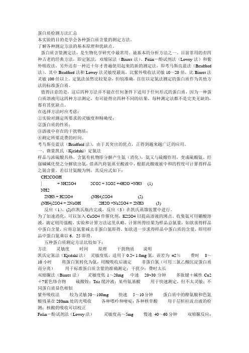 蛋白质检测方法汇总