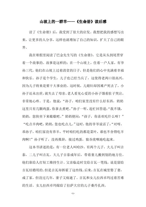 山坡上的一群羊——《生命册》读后感