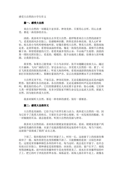 感受大自然的小学生作文