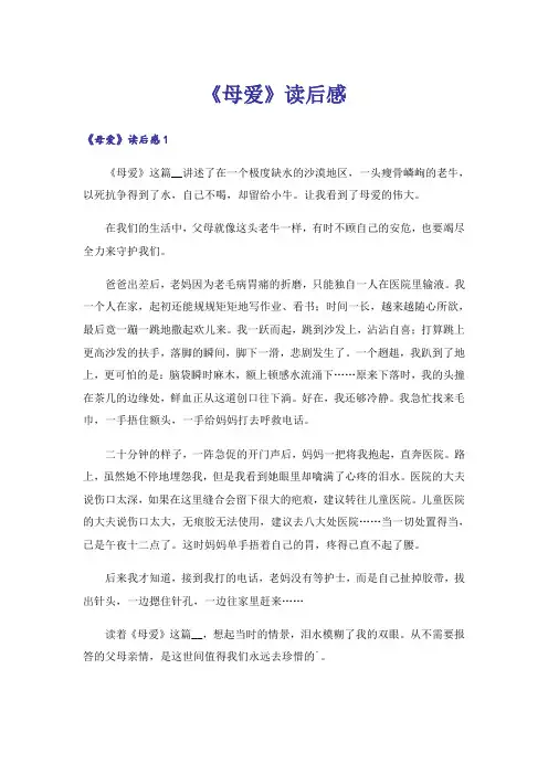 《母爱》读后感_3
