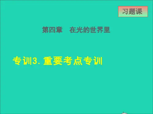 八年级物理上册第四章在光的世界里4、8走进彩色世界高频考点专训3重要考点专训课件新版教科版