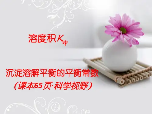 溶度积KspPPT课件