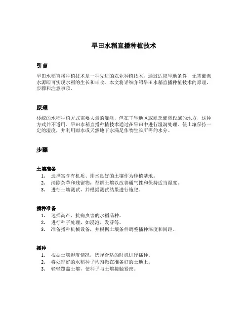 旱田水稻直播种植技术