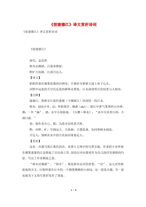 《宿建德江》译文赏析诗词
