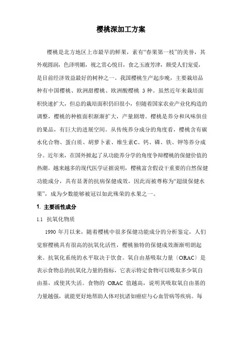樱桃深加工方案