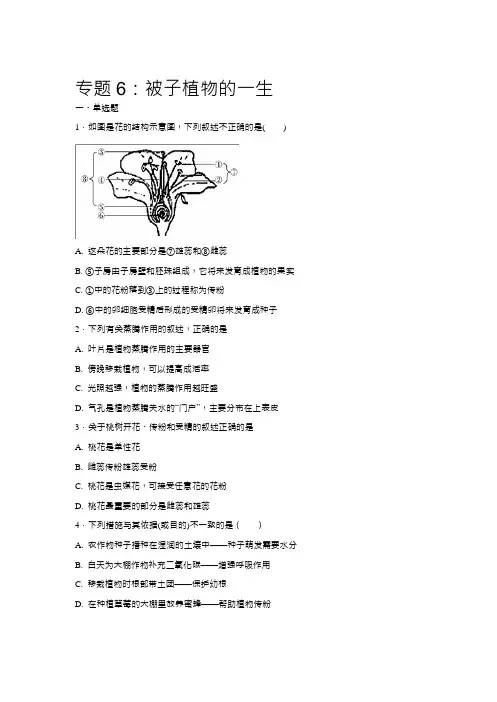 中考生物会考复习专项训练6：被子植物的一生( Word,解析版)