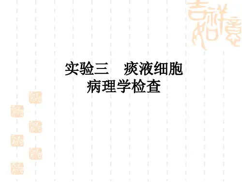 痰液细胞病理检查ppt课件