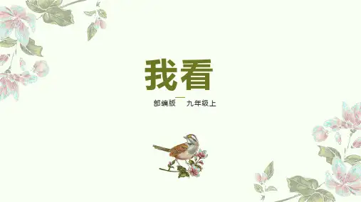第6课《我看》课件--部编版语文九年级上册