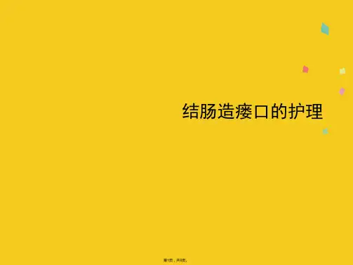 结肠造瘘口的护理优秀PPT(共9张PPT)