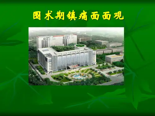 围术期镇痛面面观PPT课件
