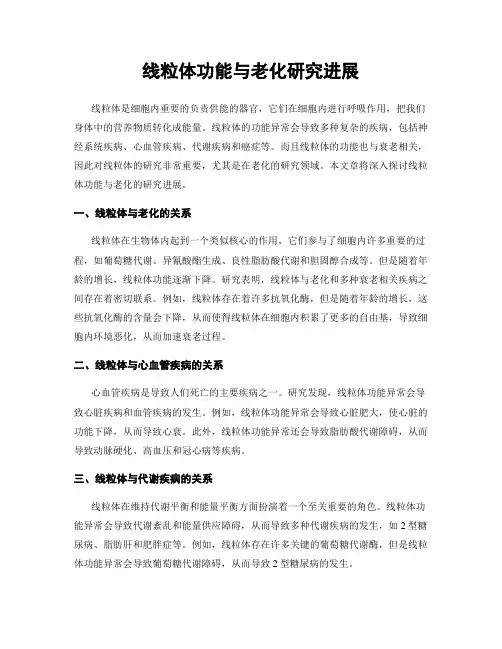 线粒体功能与老化研究进展