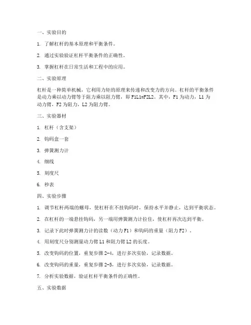 杠杆分析实验报告