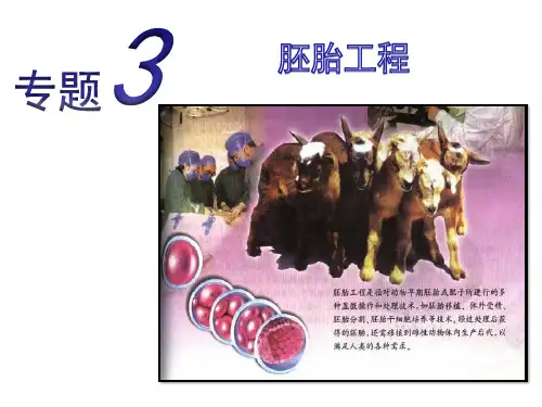 人教版高二生物选修三课件：专题三胚胎工程复习